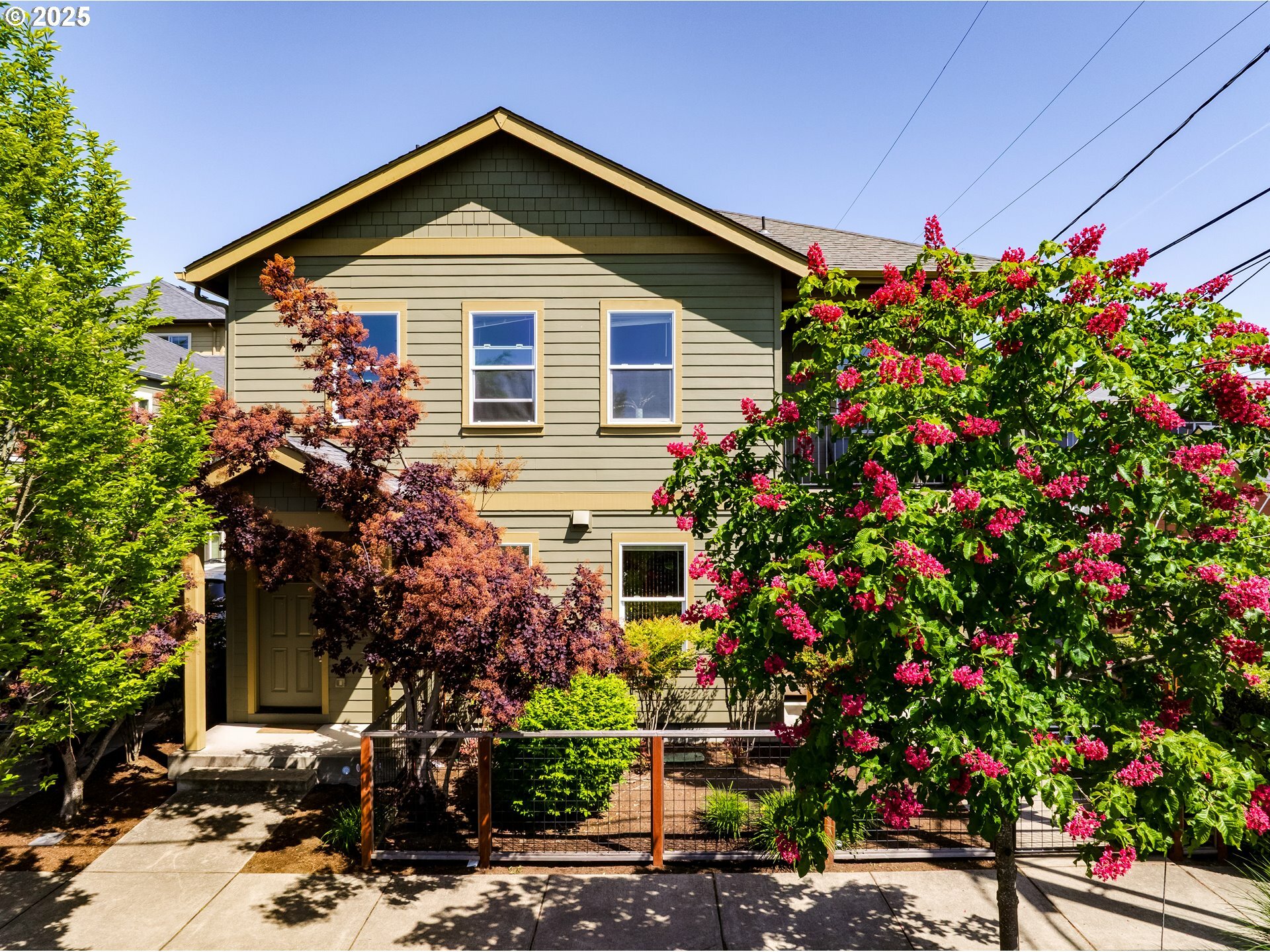 443/447 E 16th Ave  Eugene OR 97401 photo