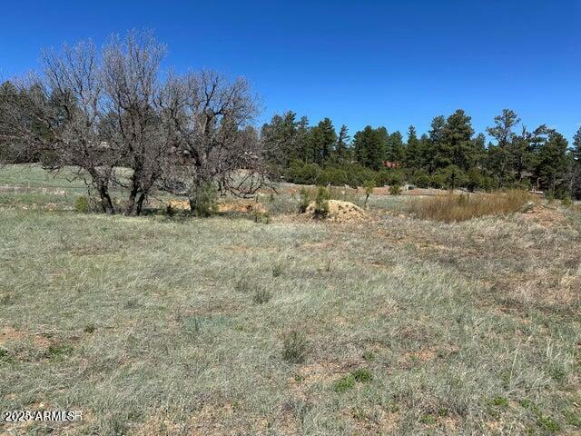 1301 S Lakeside Trail  Show Low AZ 85901 photo