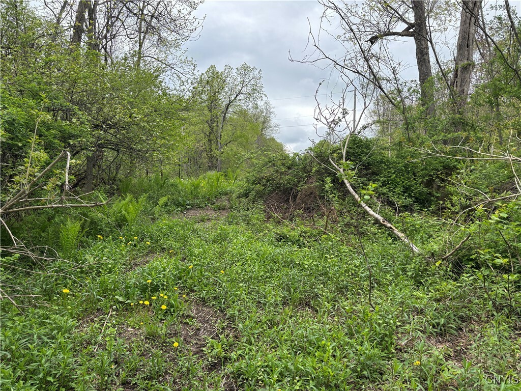 Property Photo: Sulphur Springs Rd Road NY 13416