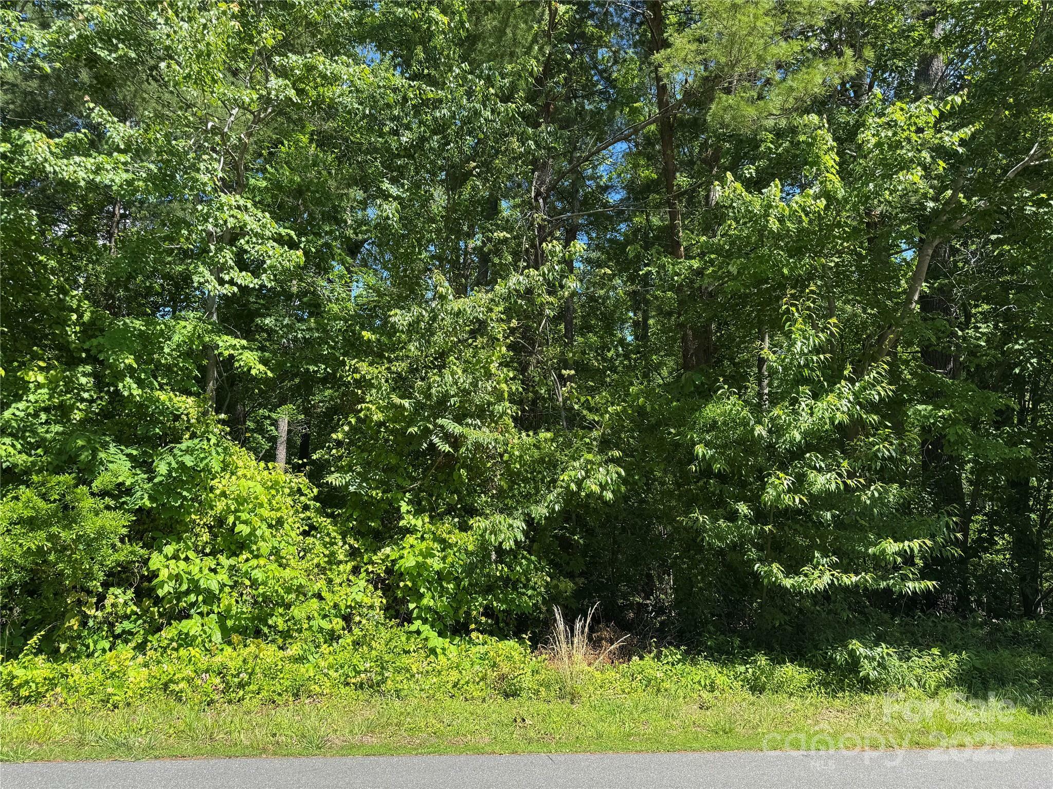Property Photo: 0 Creekwood Drive NC 28655