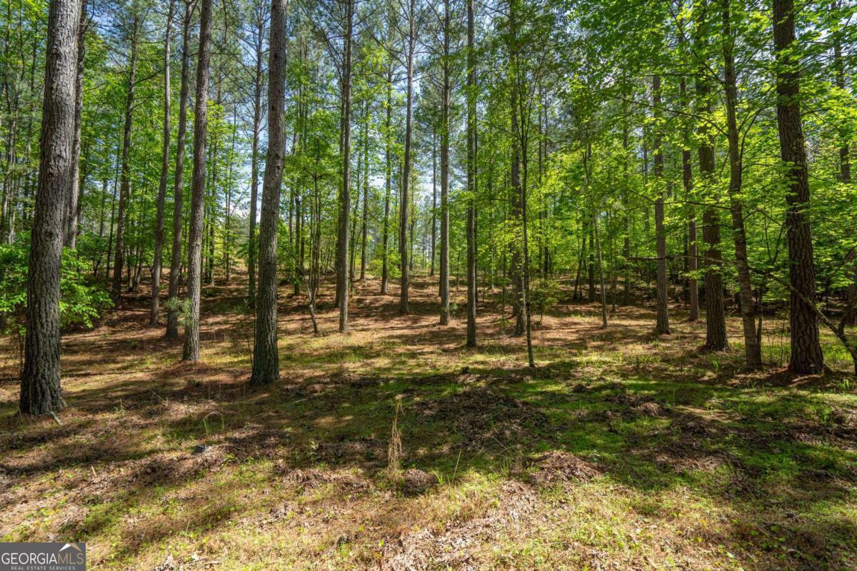 Property Photo: Lot 132 Sandy Lake Lane GA 30512