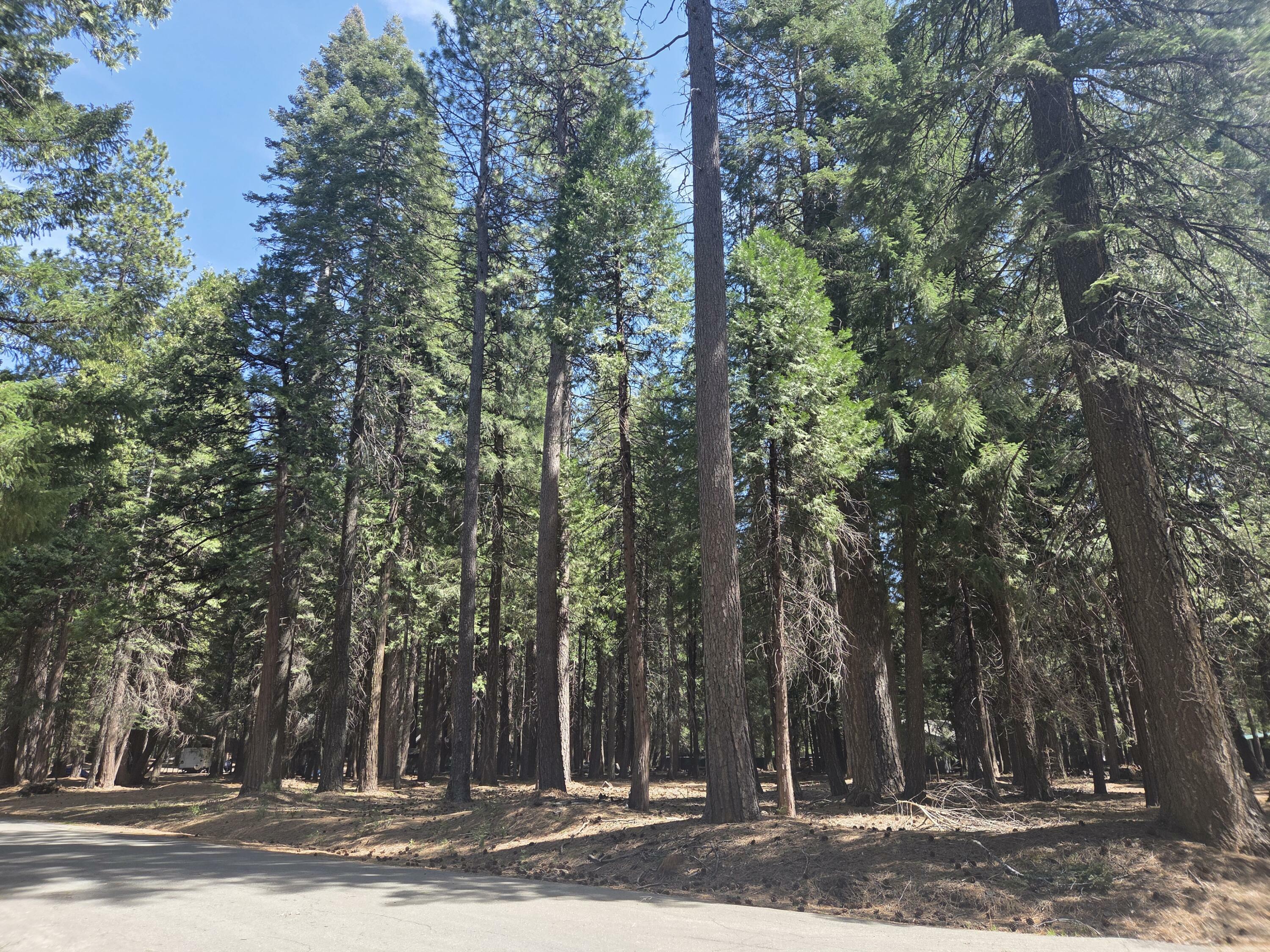 Property Photo:  Lot # 6 Colossians Way  CA 96088 