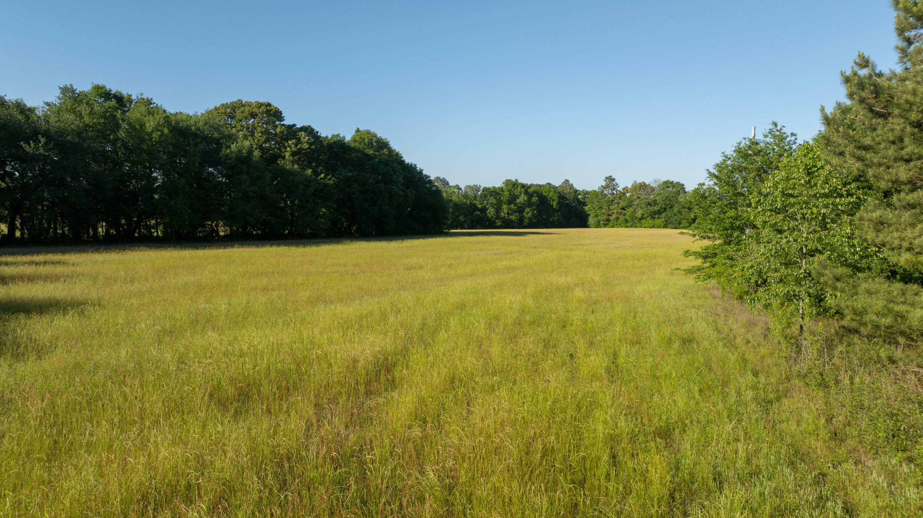 Property Photo: 2897 Wagener Road SC 29801