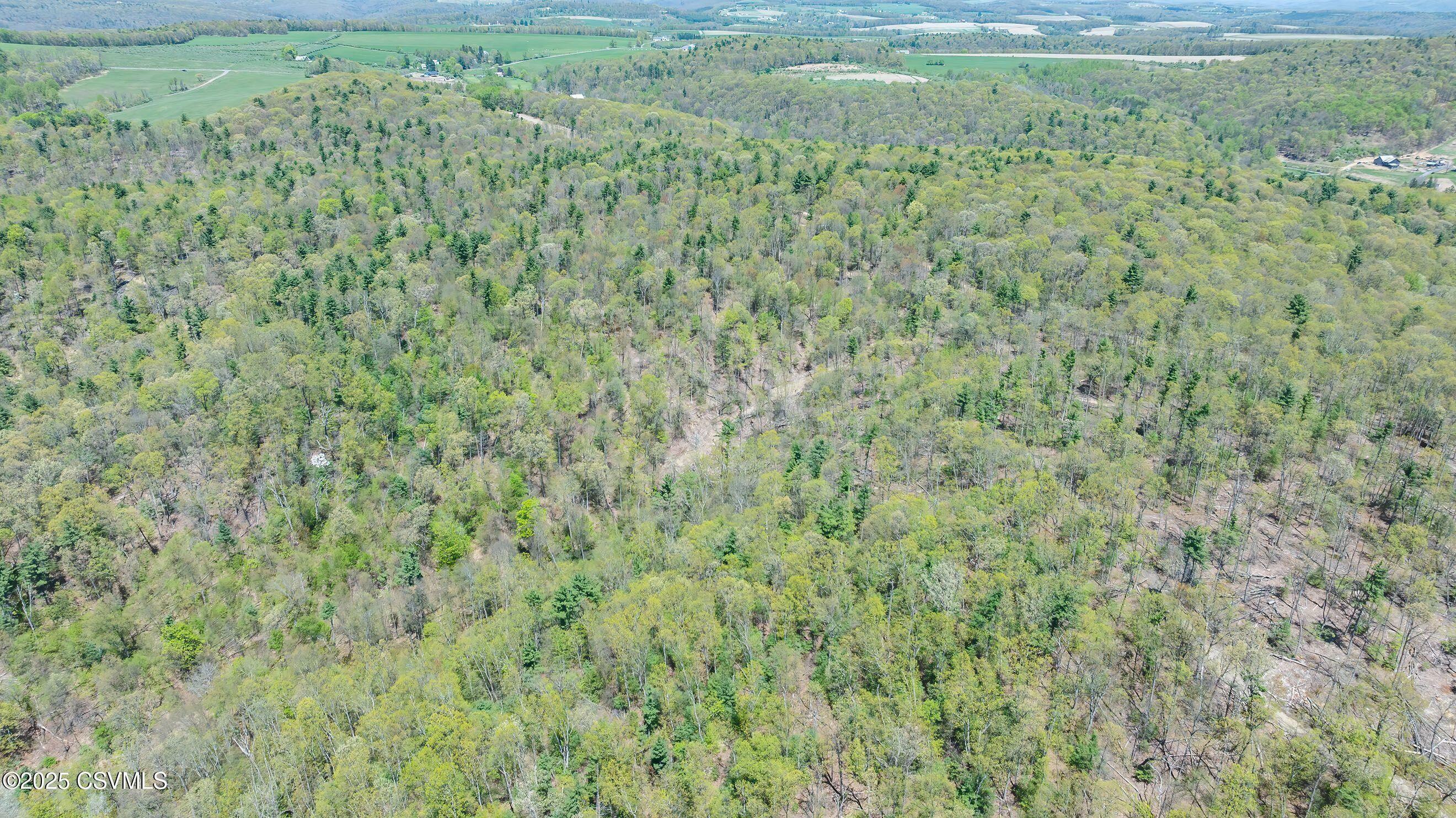 Property Photo: Lot 4 Patton Hill Road PA 17846