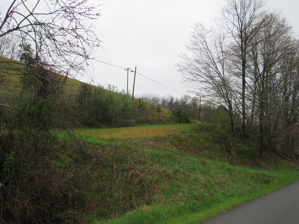 Property Photo:  0 Ky Route 580  KY 41256 