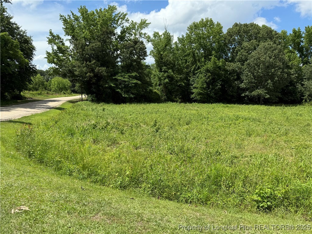 Property Photo: 0 Coleman Road NC 28312