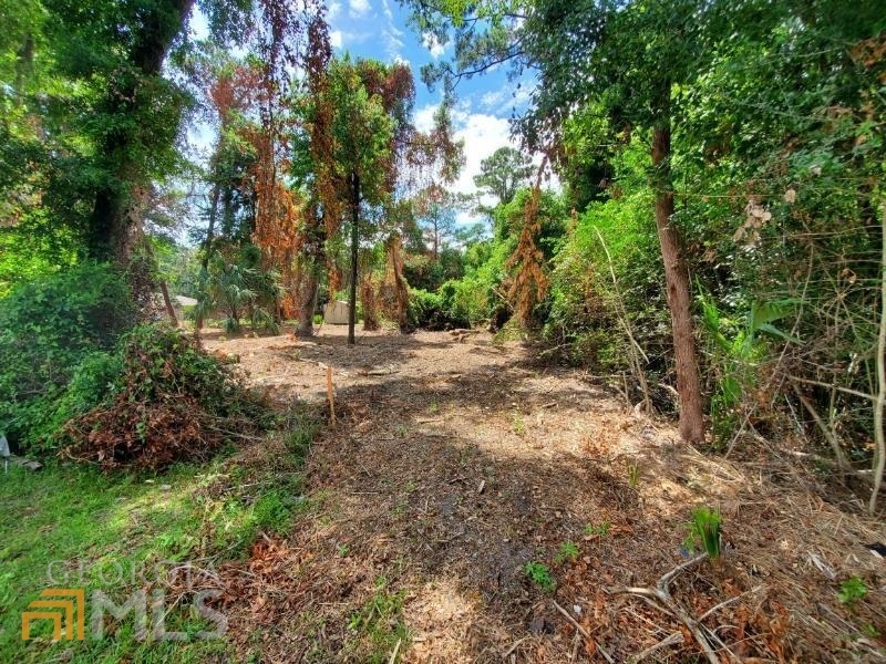 Property Photo: 805 Norris Street GA 31558