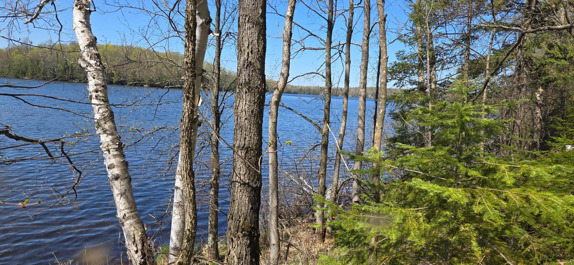 Property Photo: 7981 Armour Lake Rd E WI 54557