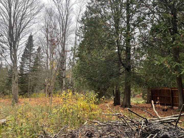 Property Photo:  408 Green Garden Road  MI 49855 