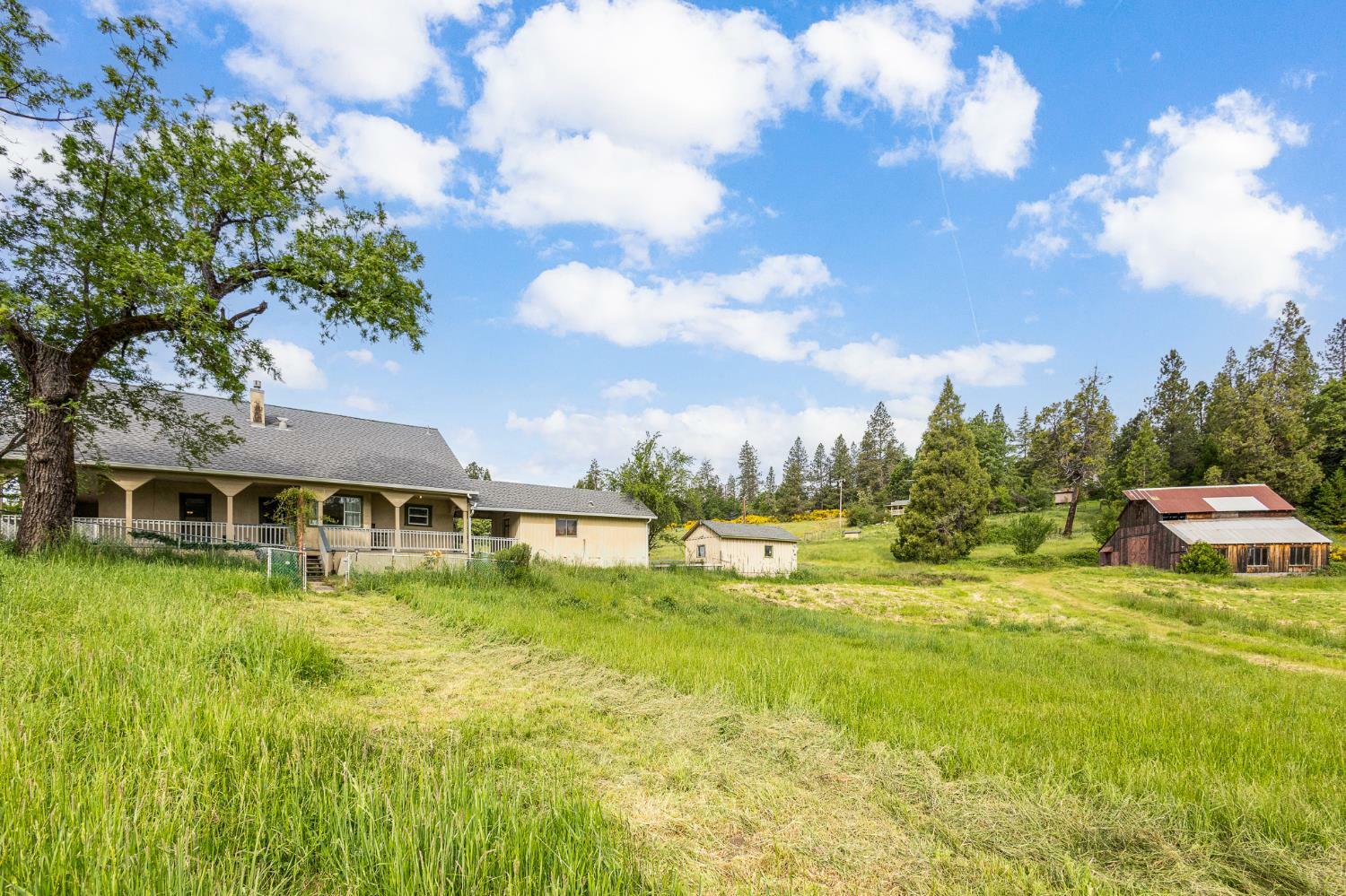 Property Photo: 29658 State Highway 49 CA 95960