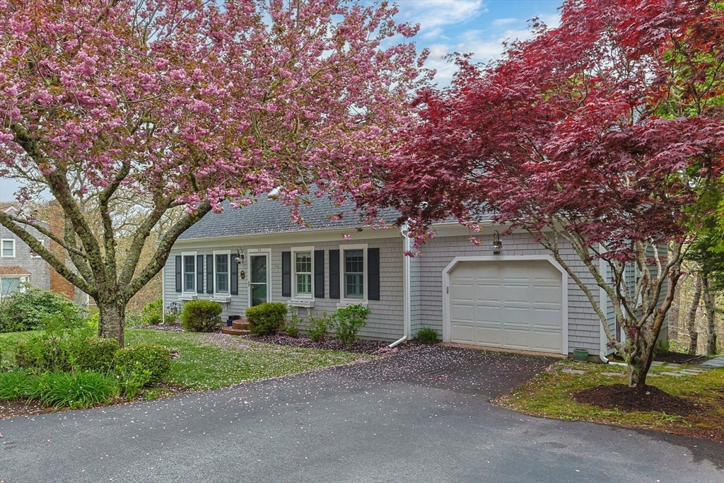 Property Photo:  56 Monomoit Ln  MA 02633 