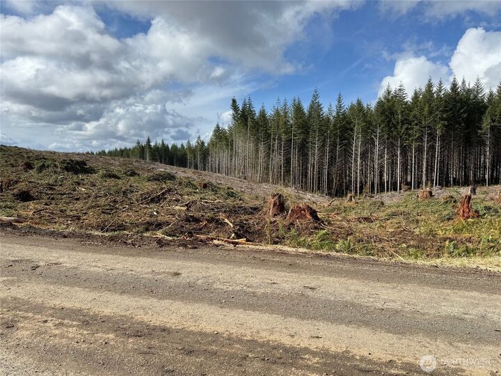 Property Photo: 0 August Road WA 98570
