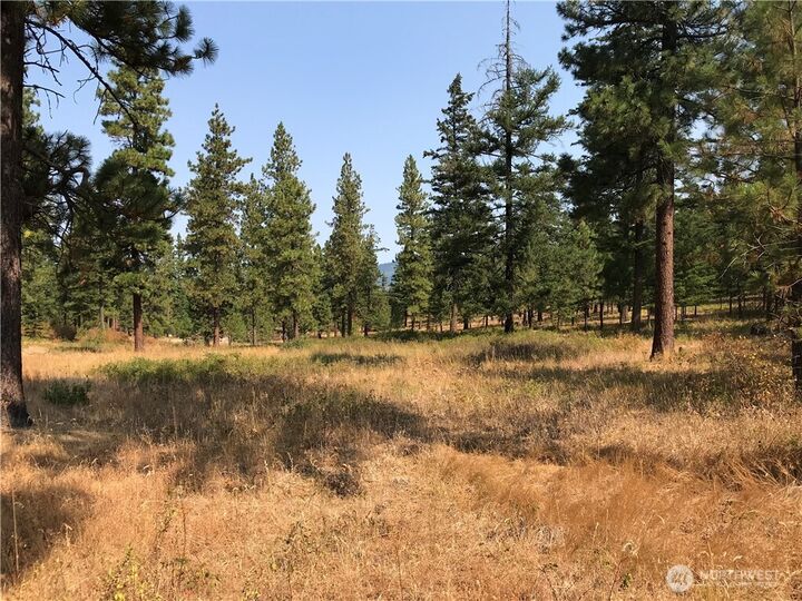 Property Photo: 0 Lot G Masterson Road WA 98922