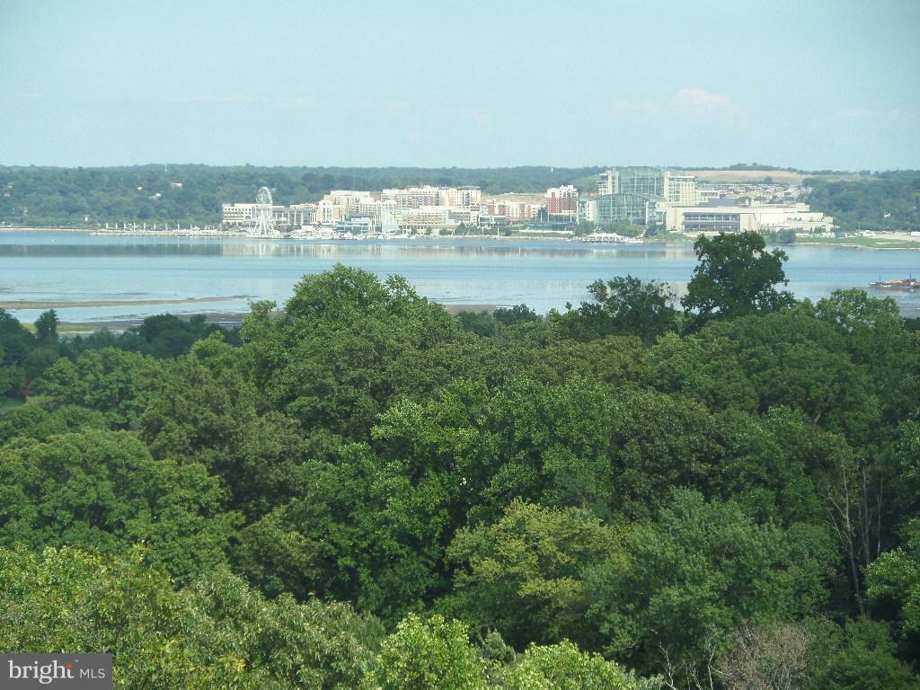 Property Photo: 5904 Mount Eagle Drive 902 VA 22303