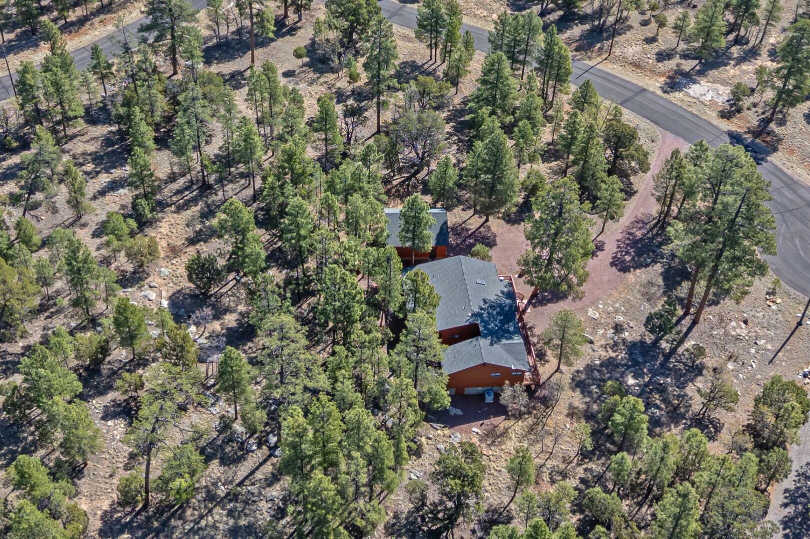 Property Photo: 2362 Ruidoso Drive AZ 86024