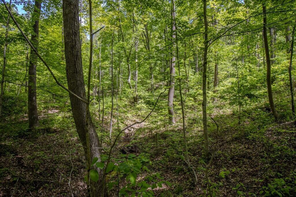Property Photo: 0 Kinzer Road OH 45612