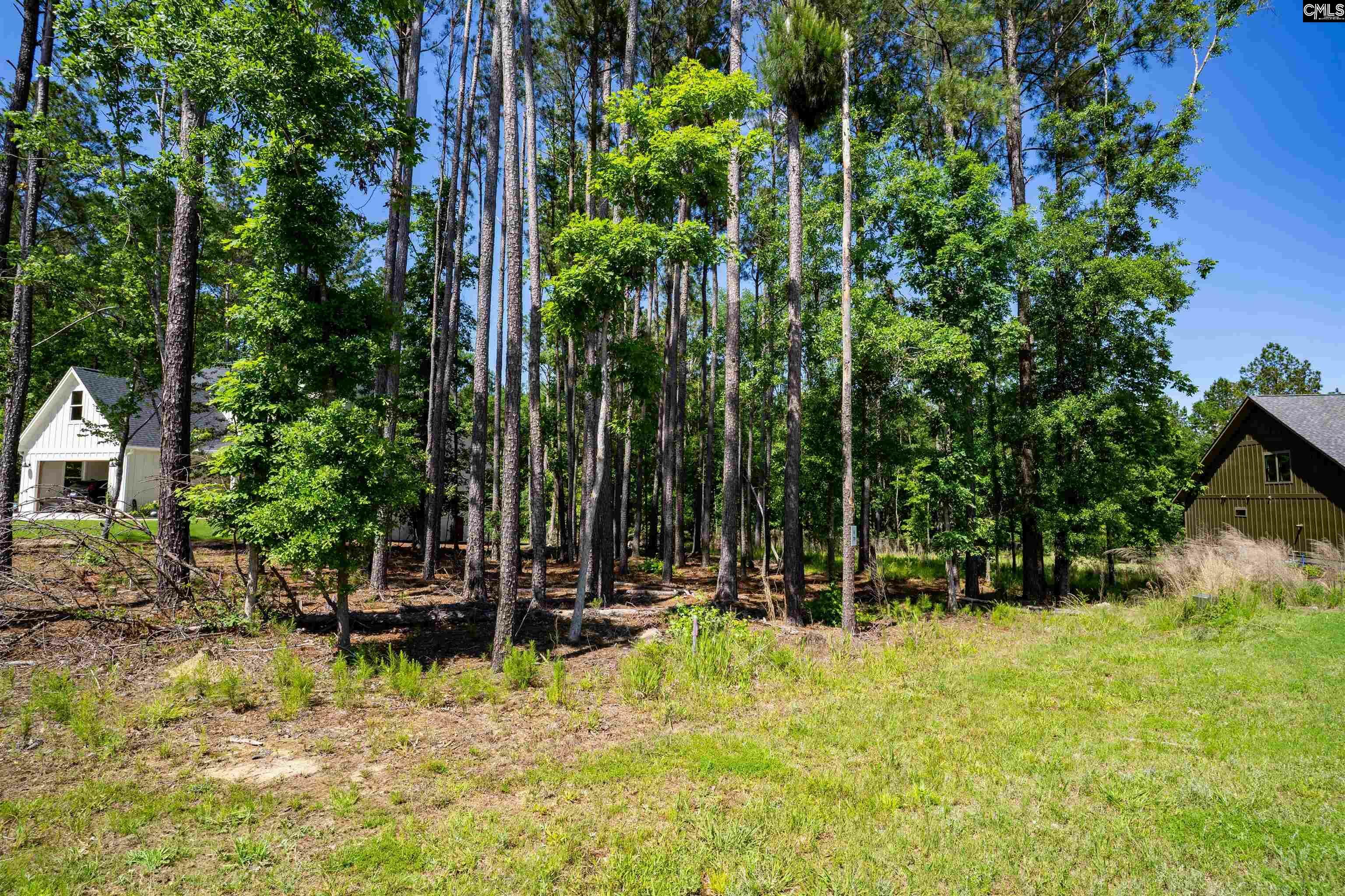 Property Photo: Lot 79 Timbertrail SC 29127