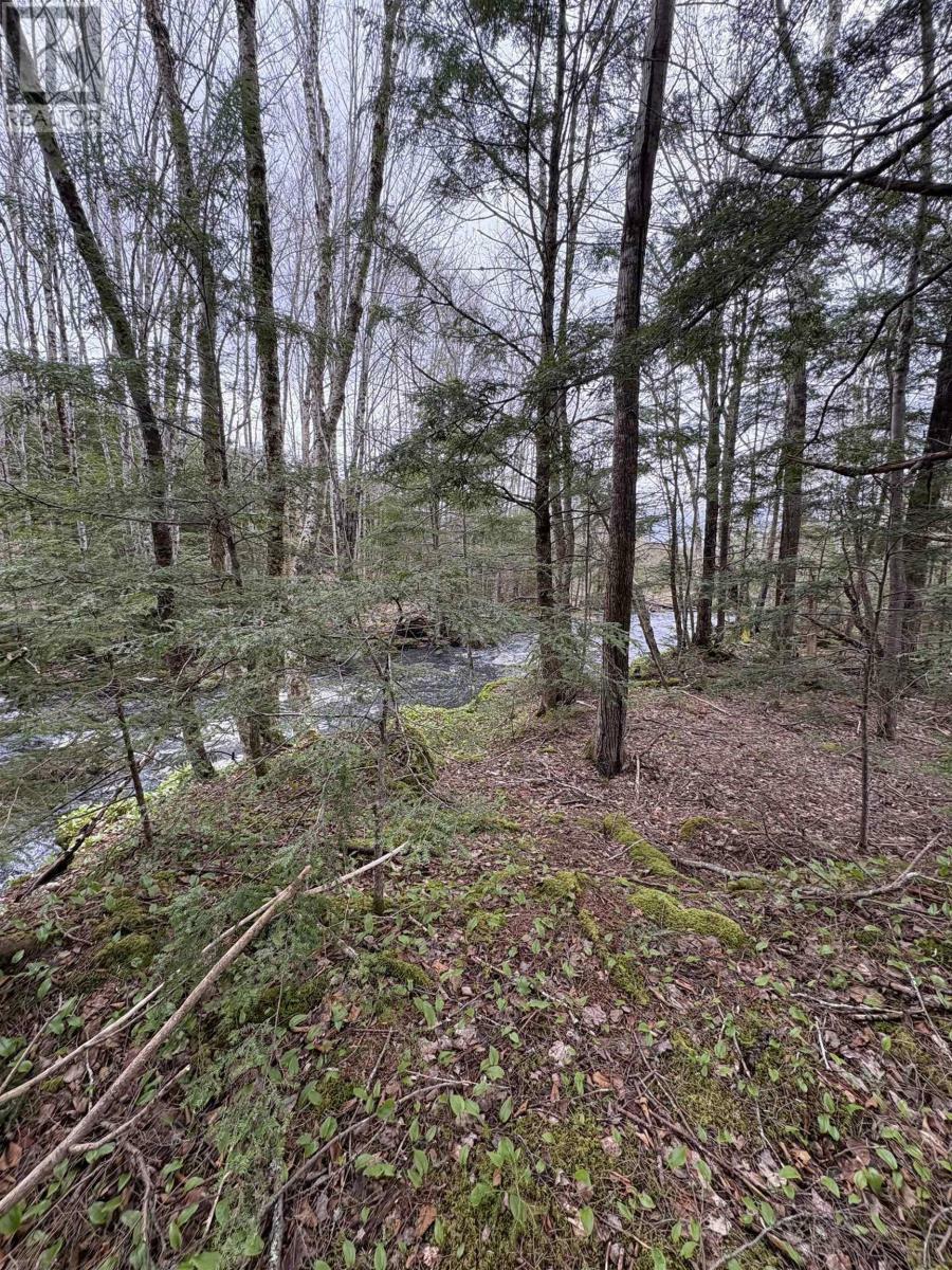 Property Photo:  Lot Mc - 6 New Ross Road  NS B0N 2T0 