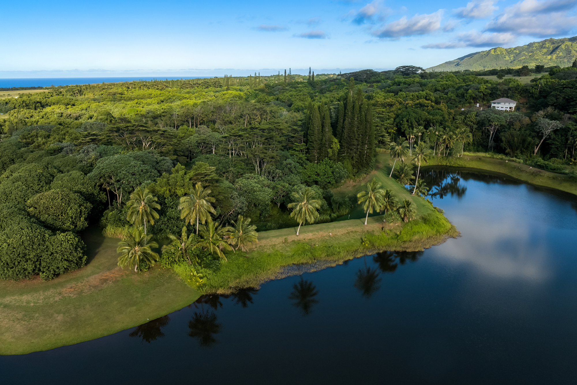 Property Photo: 5-1105 Kuhio Hwy 5 HI 96754
