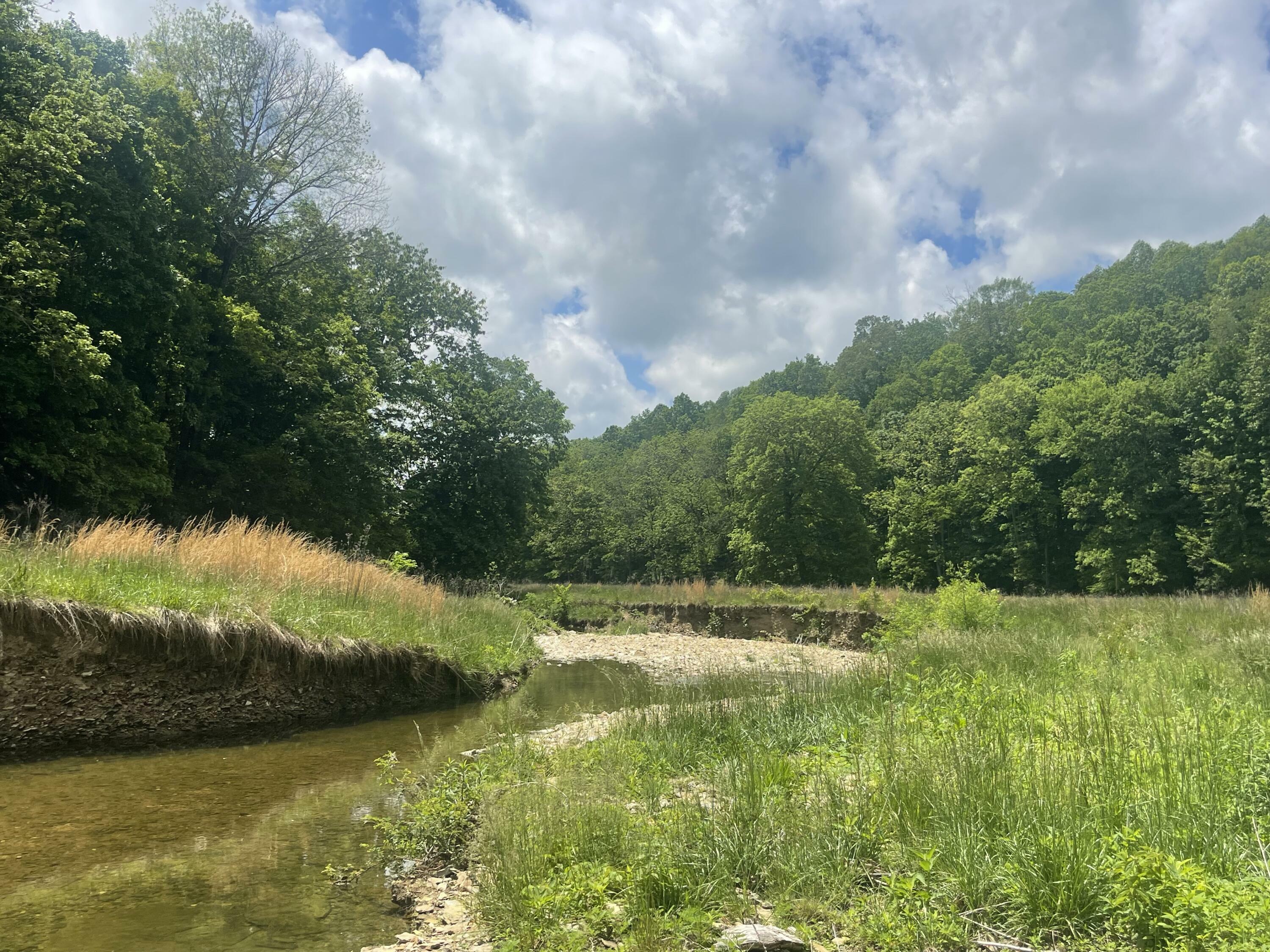 Property Photo: 61 Acres Jw Harris Road KY 42642