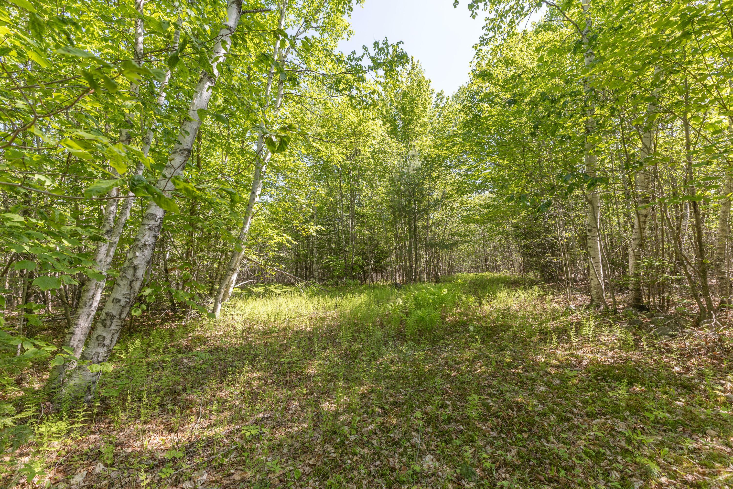 Property Photo: M6, L3 Beech Hill Pond Road ME 04429