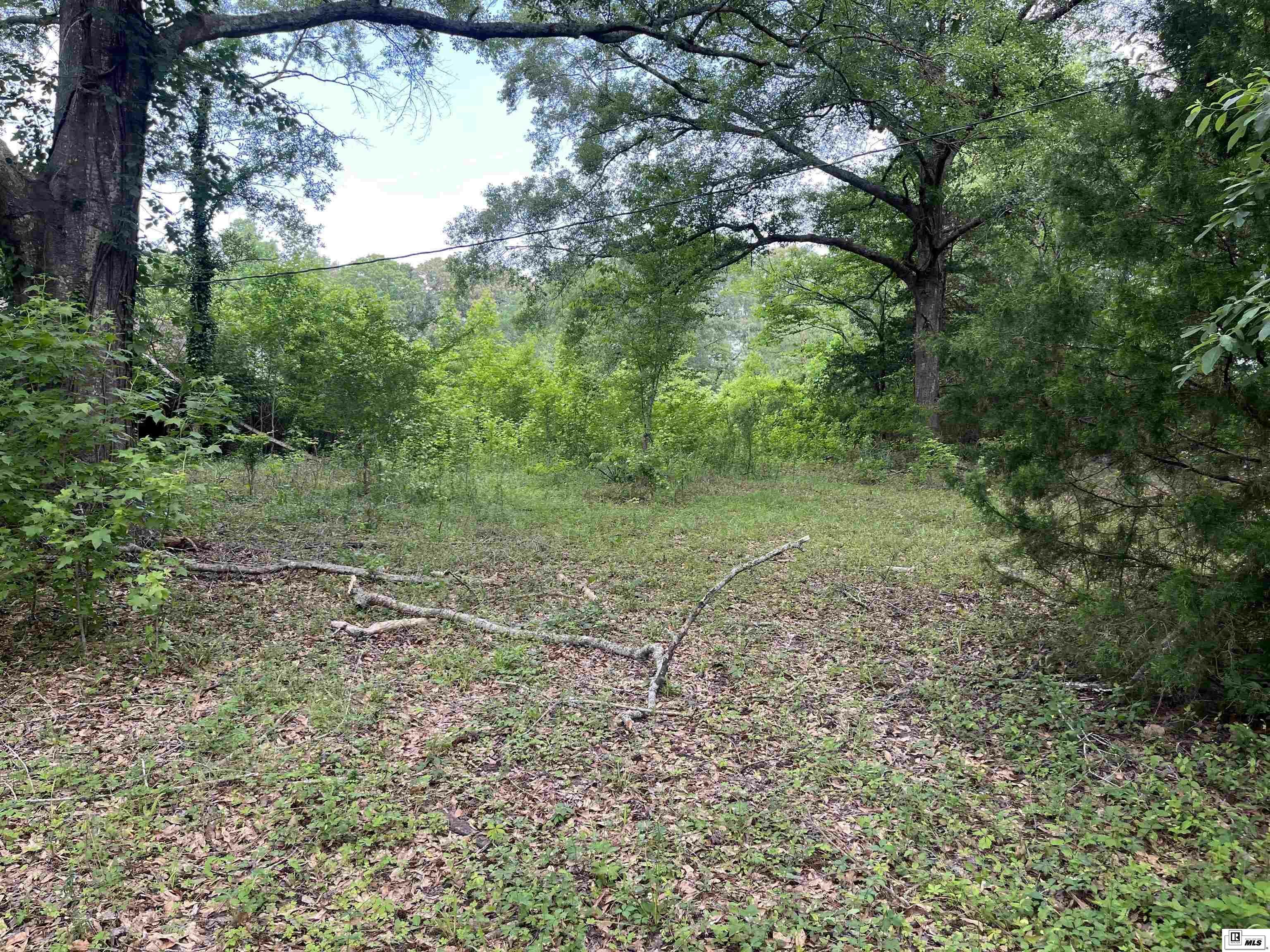 Property Photo:  000 Winnfield Road  LA 71292 