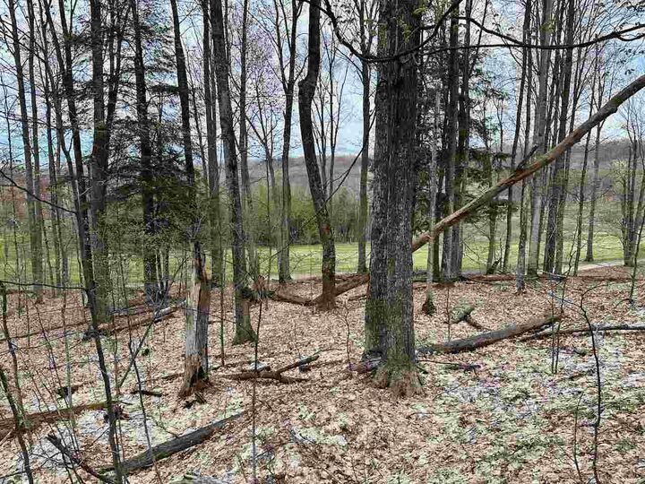 Property Photo: Unit 19 Forest 19 MI 49615