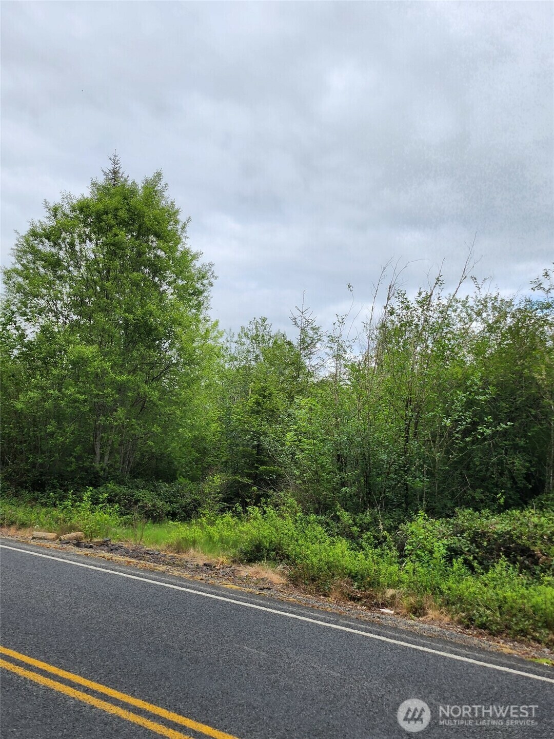 Property Photo: 0 Henriot Road WA 98591