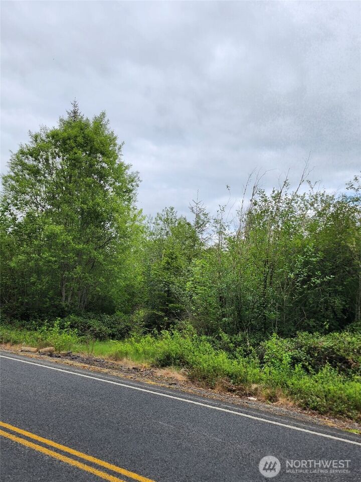 Property Photo: 0 Henriot Road WA 98591