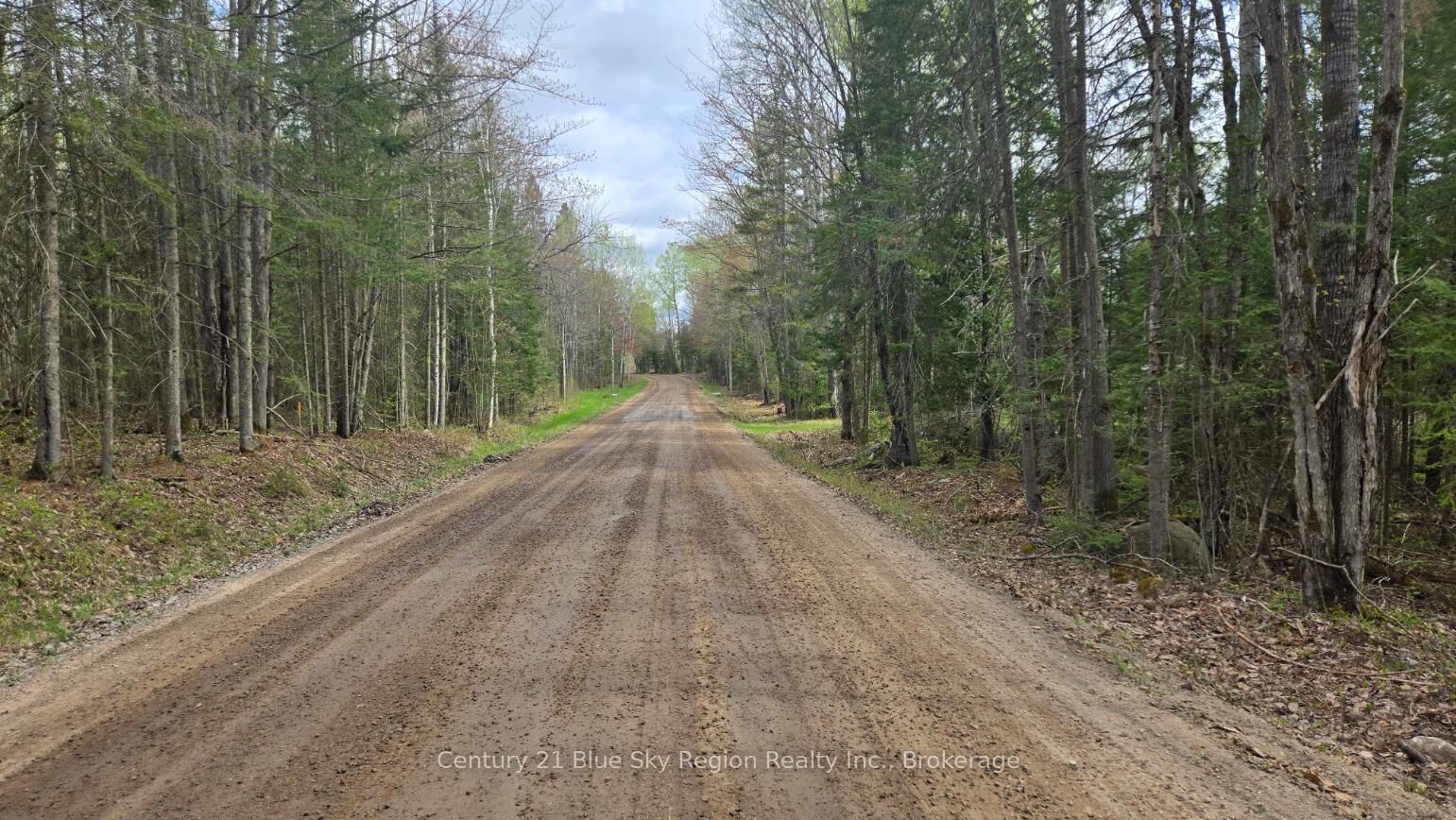 Property Photo:  2438 Village Road  ON P0H 1Z0 