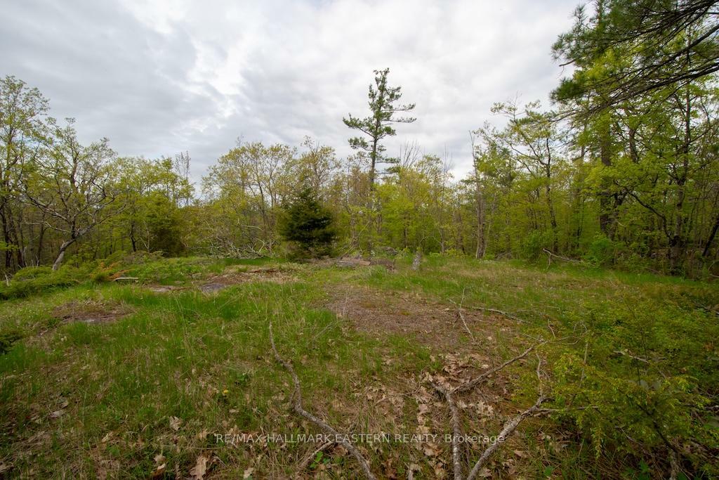 Property Photo:  0 Tedford Drive  ON K0L 2H0 