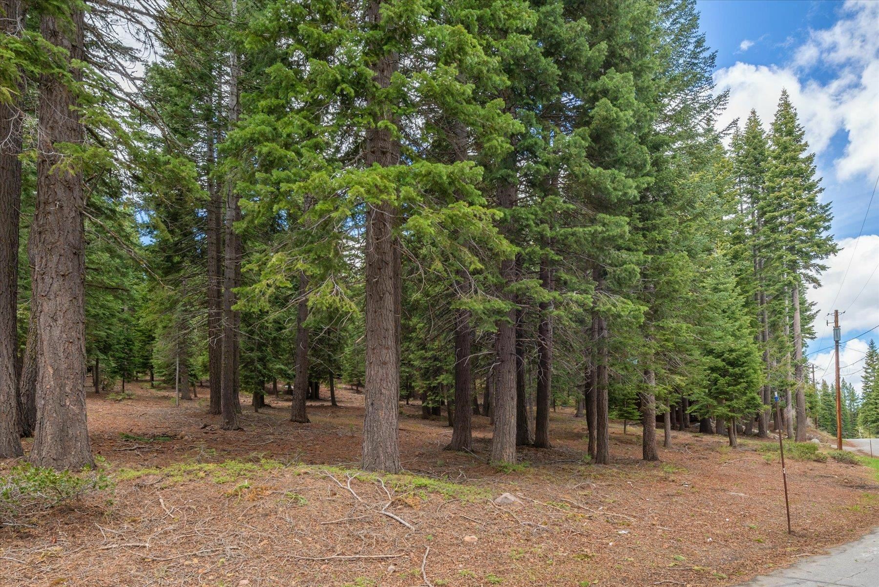 Property Photo: 10986 Innsbruck Avenue CA 96161