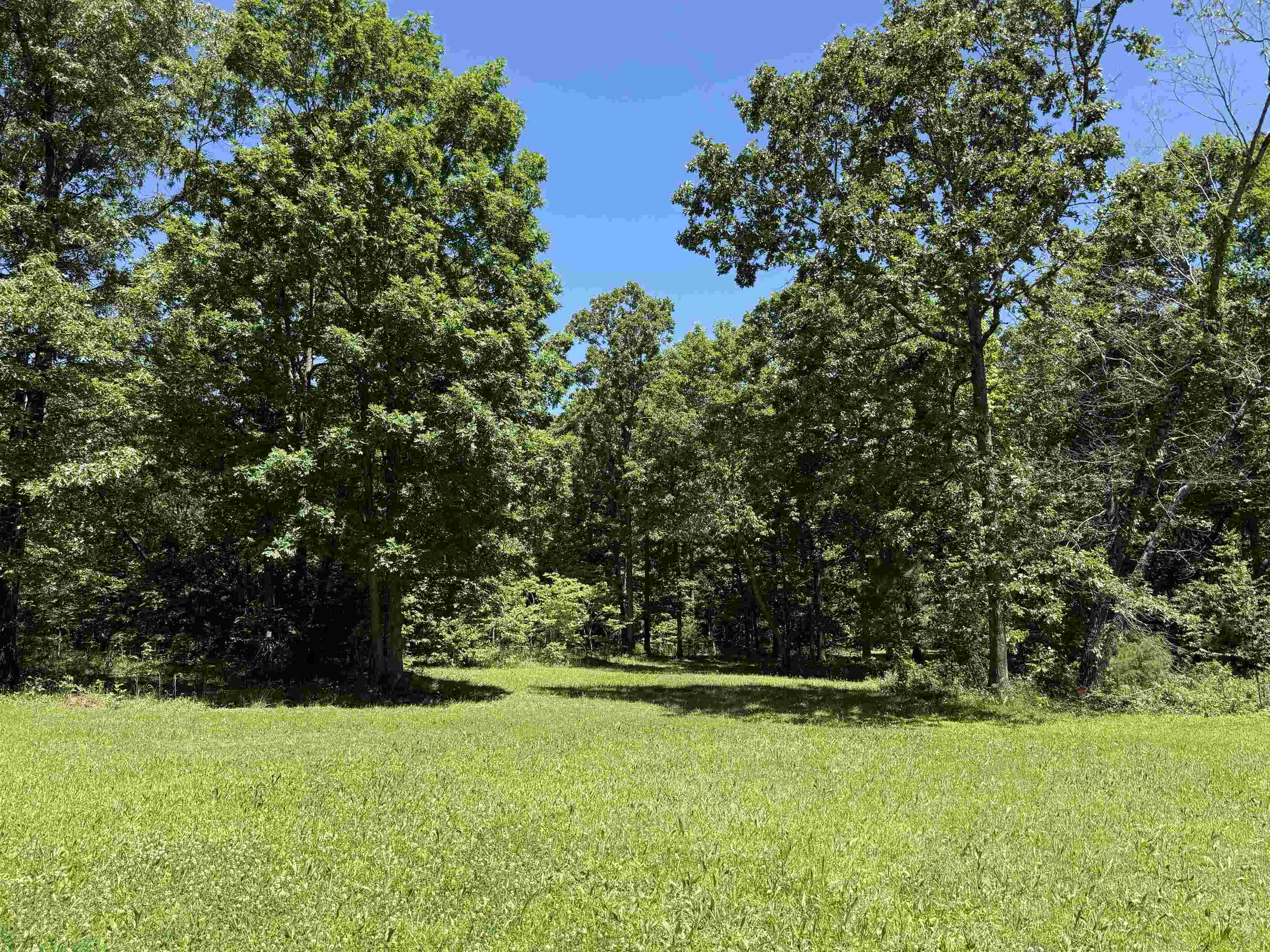 Property Photo: 675 Browns Creek Road AR 72459