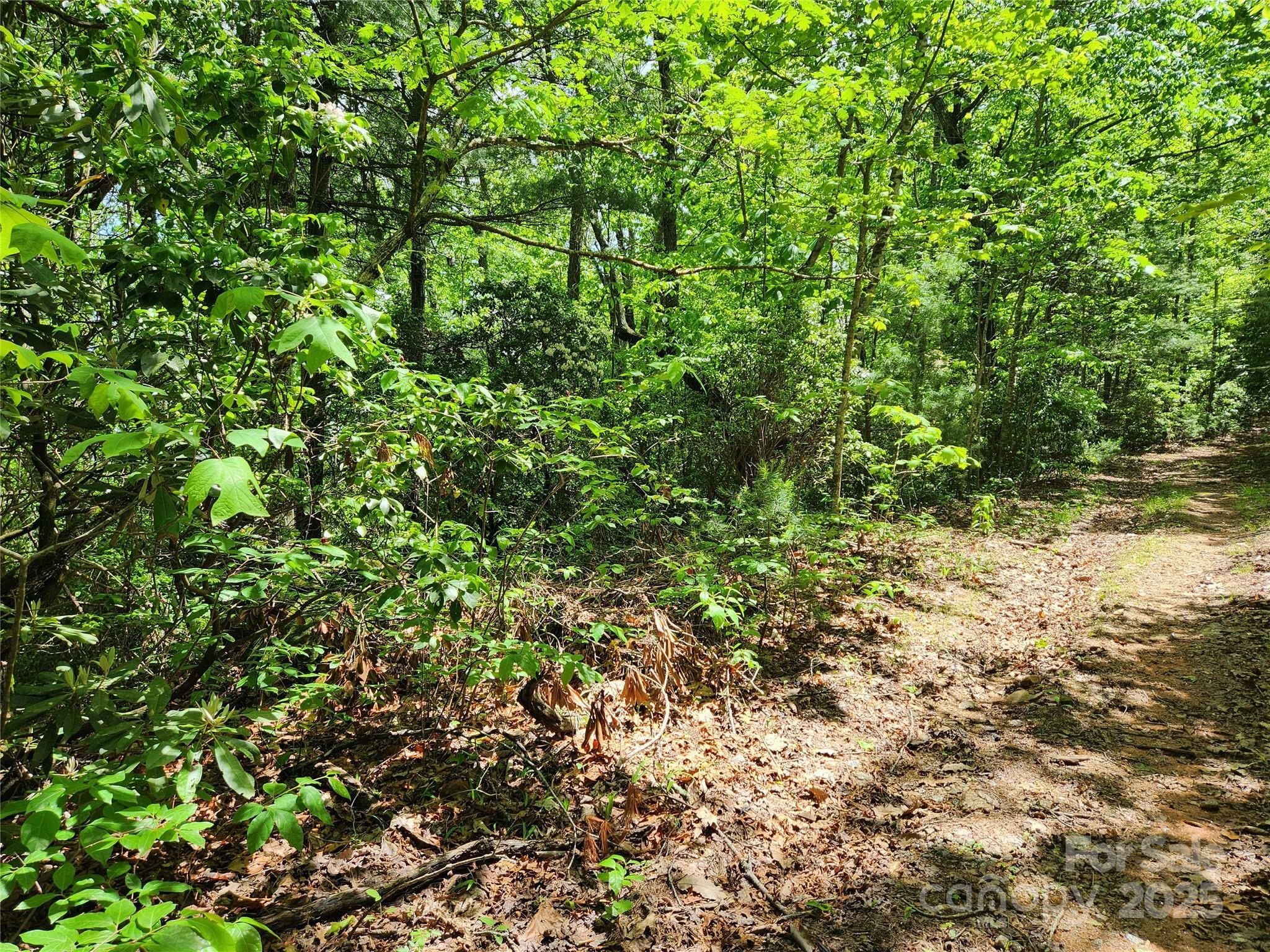 Property Photo: 000 Boone Top None NC 28790
