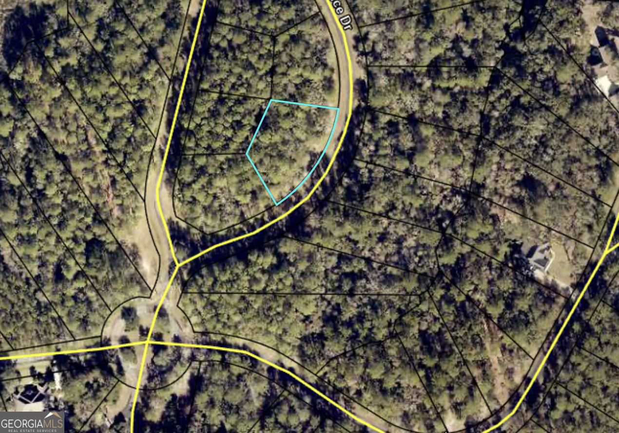 Property Photo: V/L 27 River Place Drive GA 31565