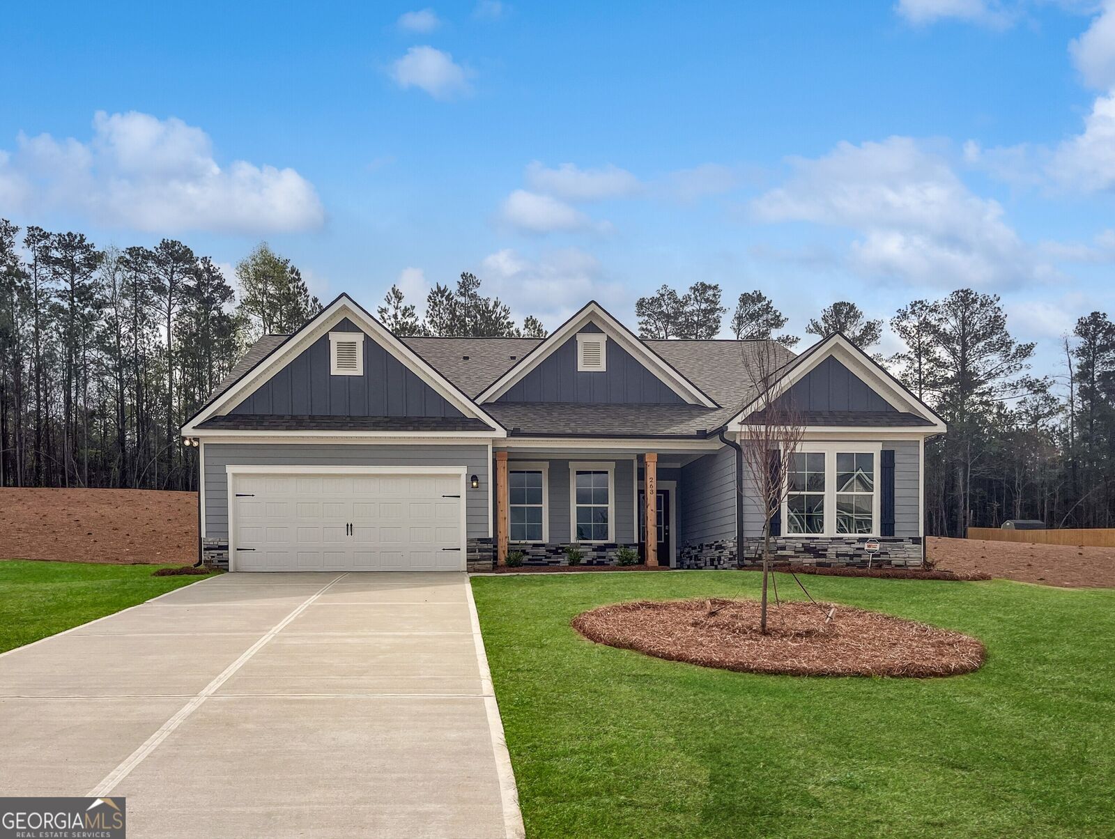 Property Photo:  263 River Station Drive  GA 30656 