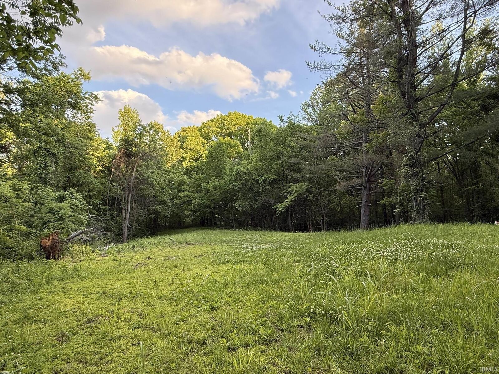 Property Photo:  6401 Middle Mount Vernon Road  IN 47712 