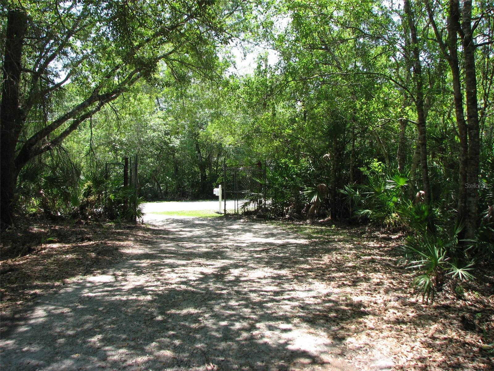 Property Photo:  736 Guy Road  FL 32828 