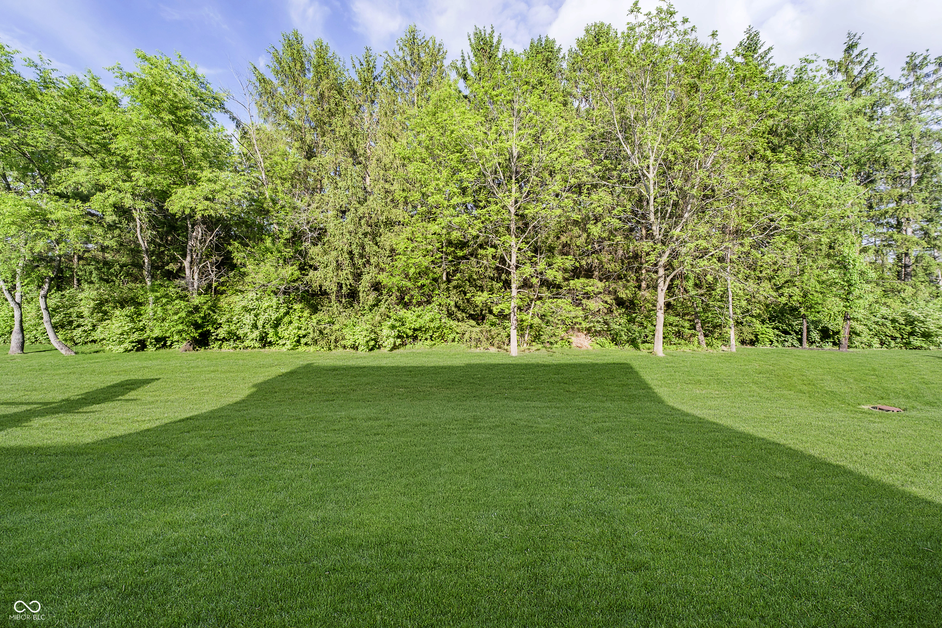 Property Photo: 14003 Grannan Lane IN 46074