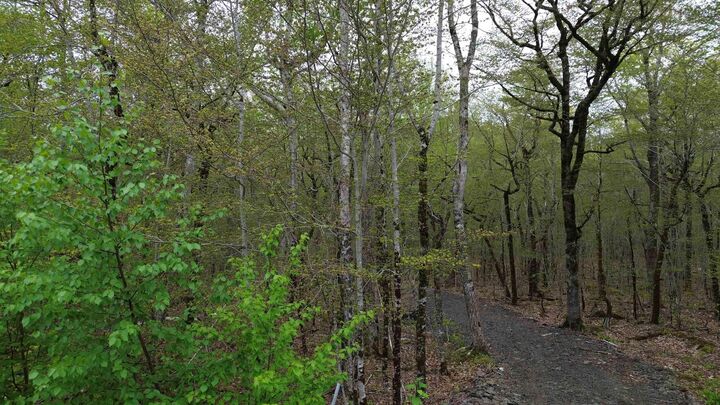 Lot 46 Turner Point Drive — photo 1