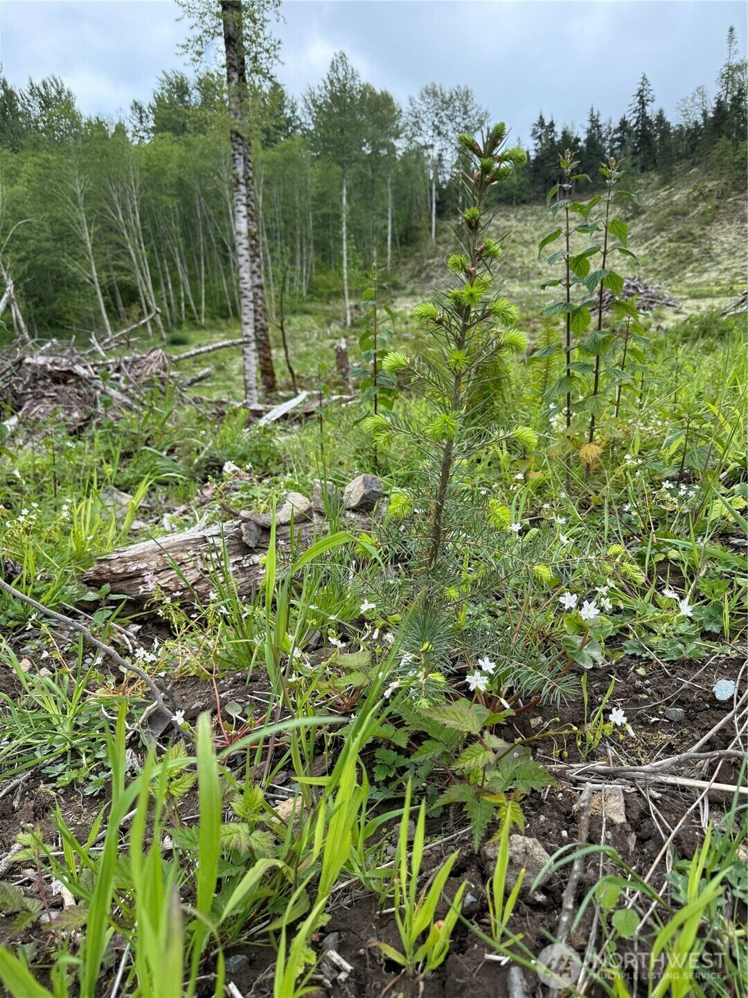 Property Photo: 52317 127th Avenue E WA 98328