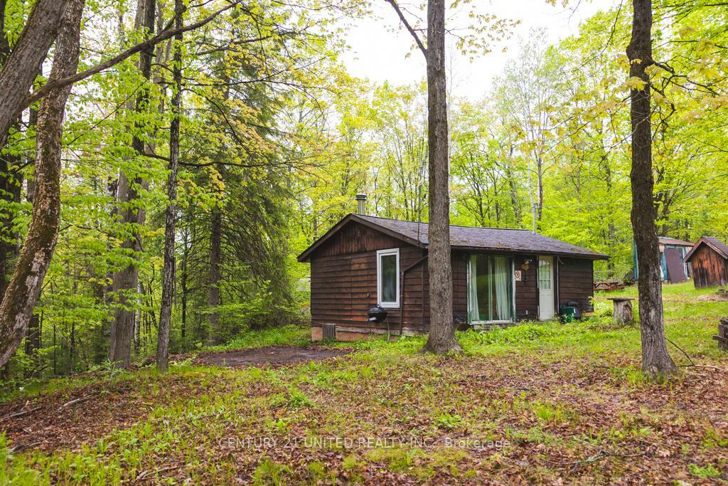 4 Pine Grove Road  Trent Hills ON K0K 2M0 photo