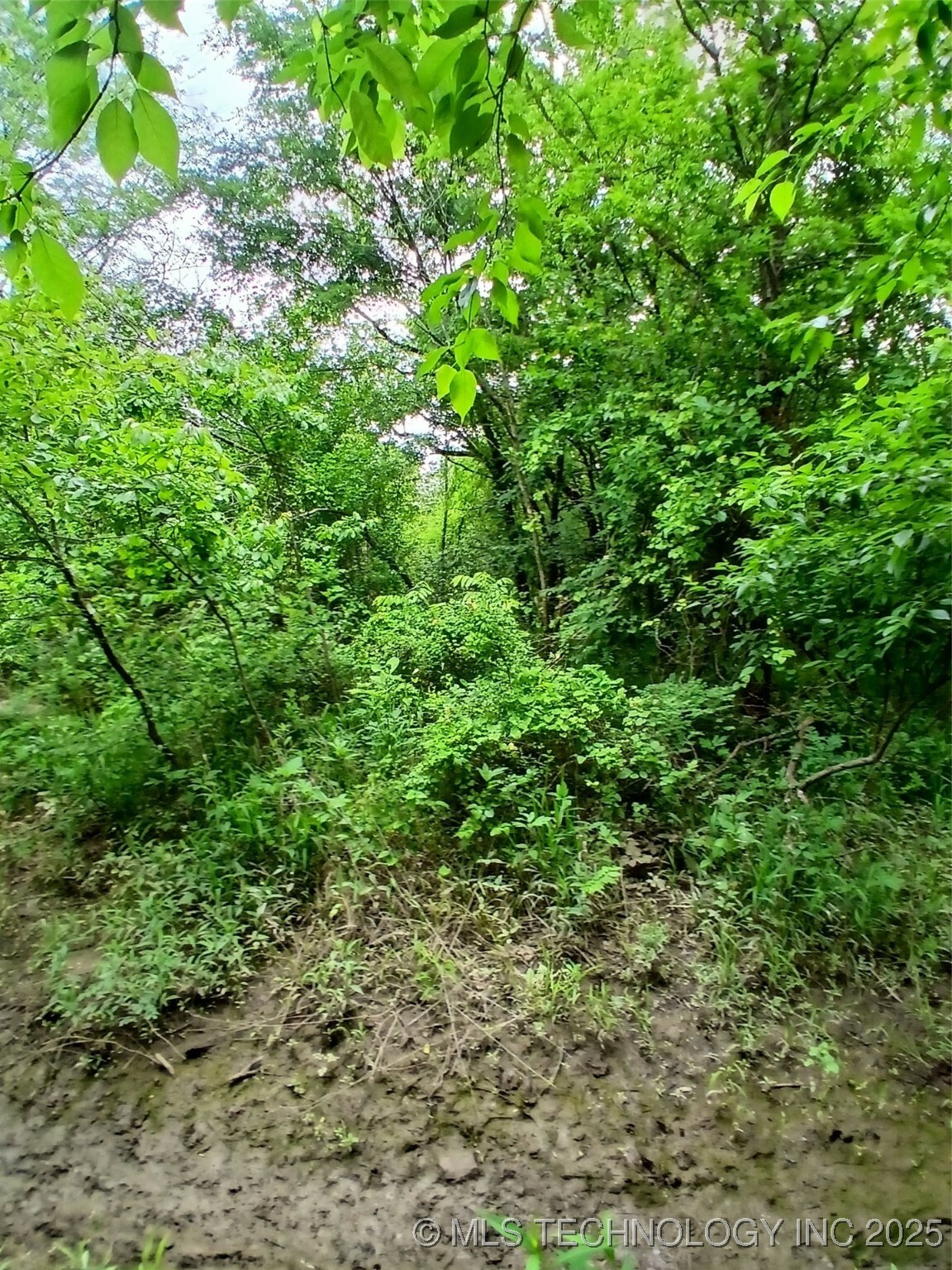 Property Photo: Howell OK 74522