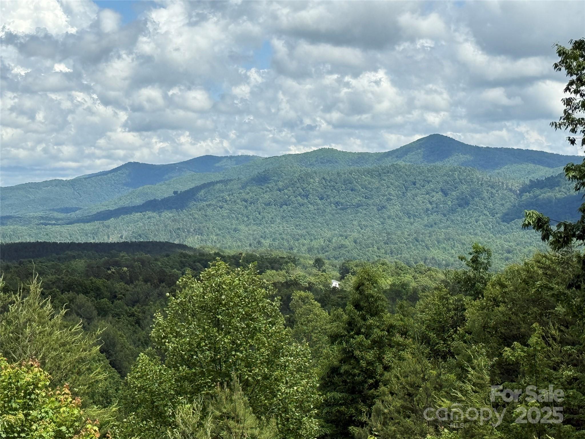 113 Valley View Trail 323  Nebo NC 28761 photo