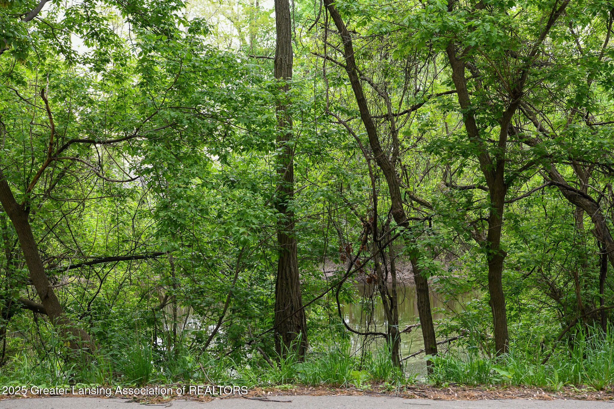 Property Photo: V/L Hollister Road MI 48848