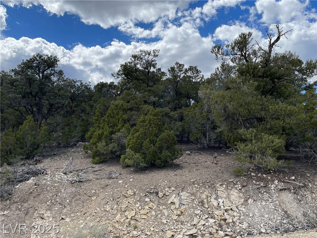 Property Photo: 175 East Ward Mountain Drive NV 89301