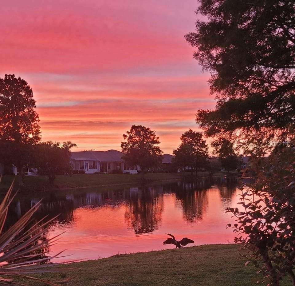 Property Photo: 834 Tremont Greens Lane 137 FL 33573