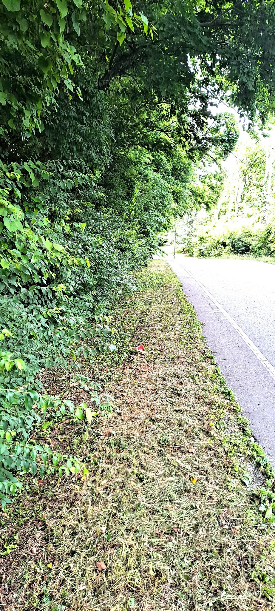 Property Photo: 0 Sawyer Brown Rd TN 37221
