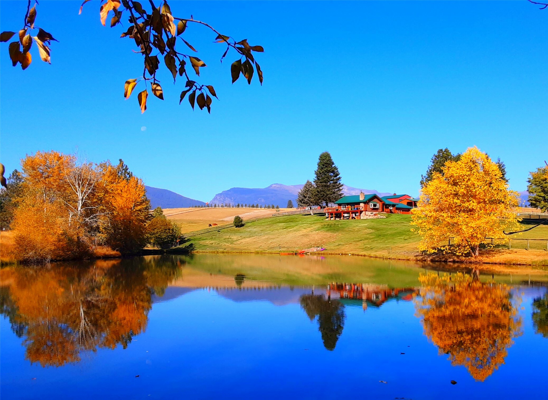 Property Photo: 1335 Country Road MT 59875