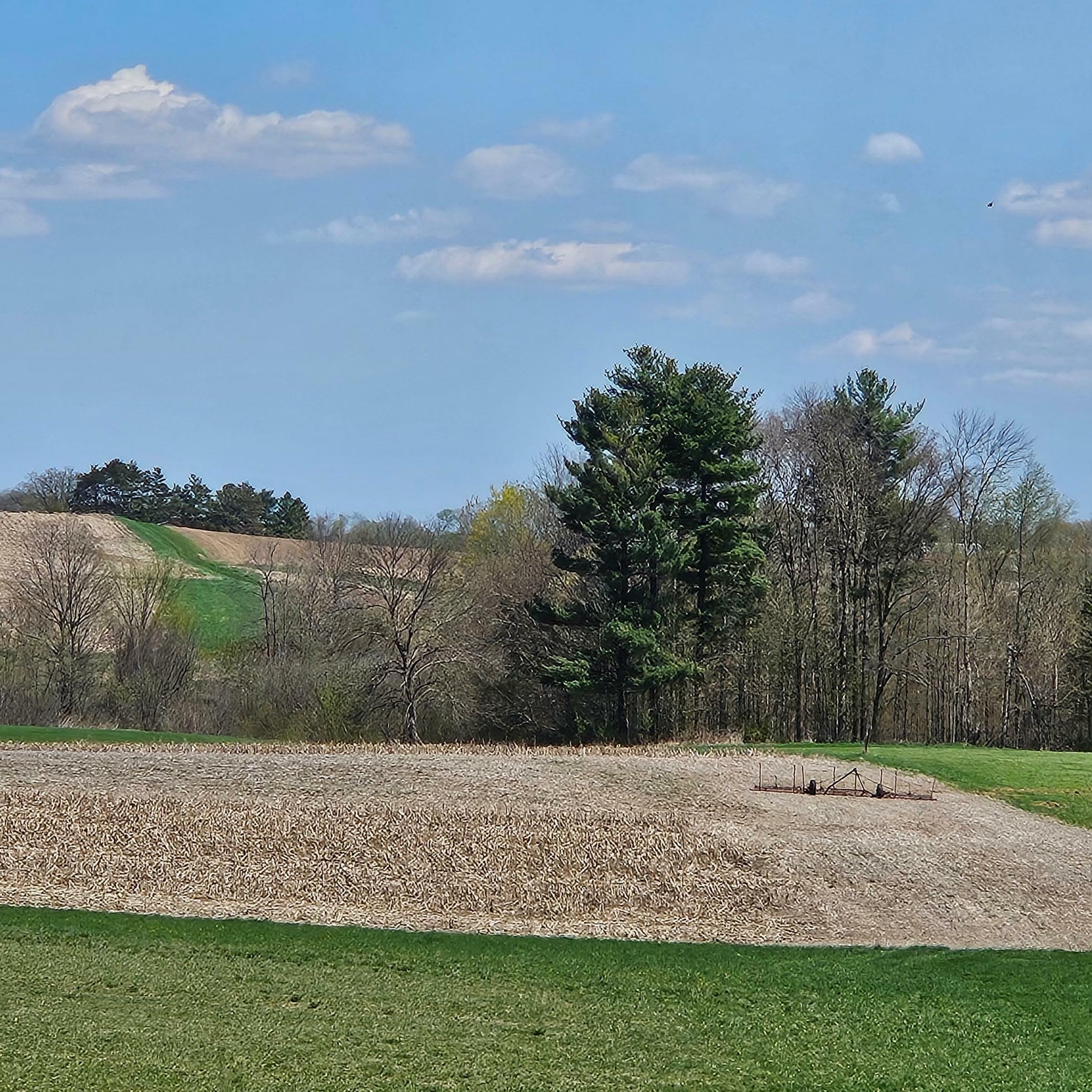 Property Photo: Tbd 870th Avenue WI 54767